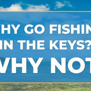 Fishing in the Florida Keys: An Angler's Guide | FishingBooker