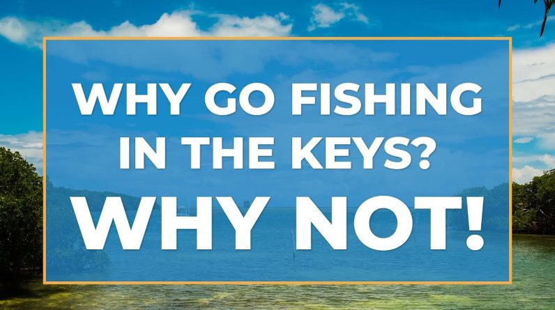 Fishing in the Florida Keys: An Angler's Guide | FishingBooker