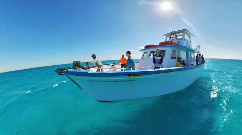 Islamorada fishing charter