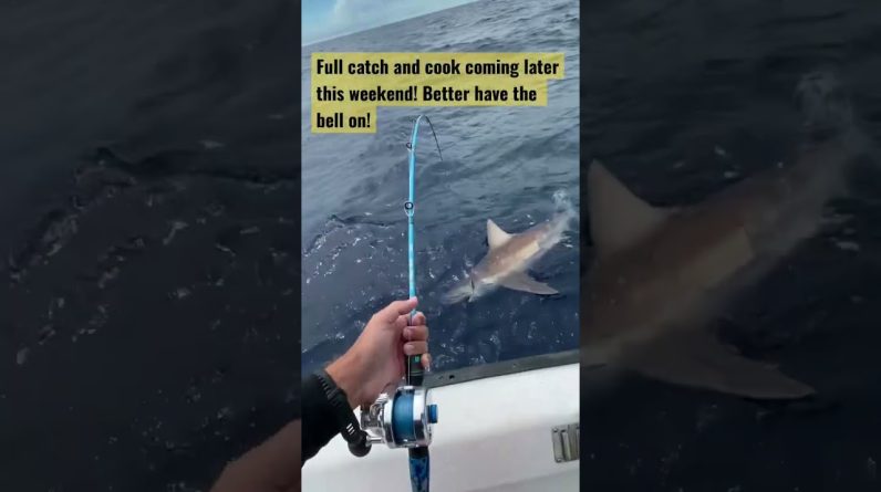 Jigging Up Monsters!