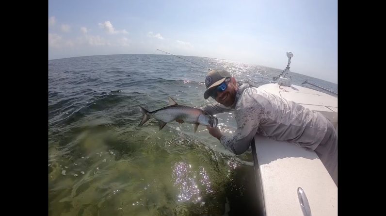 Tarpon fishing the Flats in Islamorada
