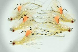 slat water flies
