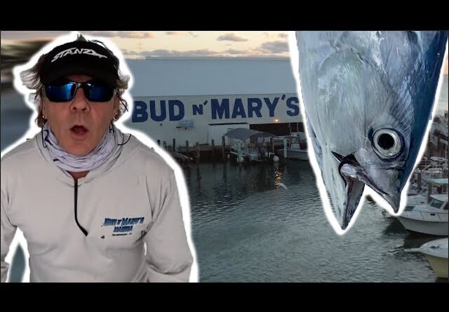 Heartbreak on the Miss Islamorada! Winter Florida Fishing