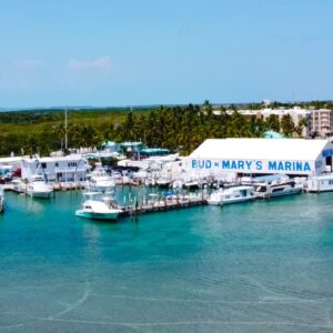 Streaming Live from my #GoPro