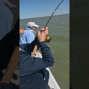 Ricky Walker vs. big snook!