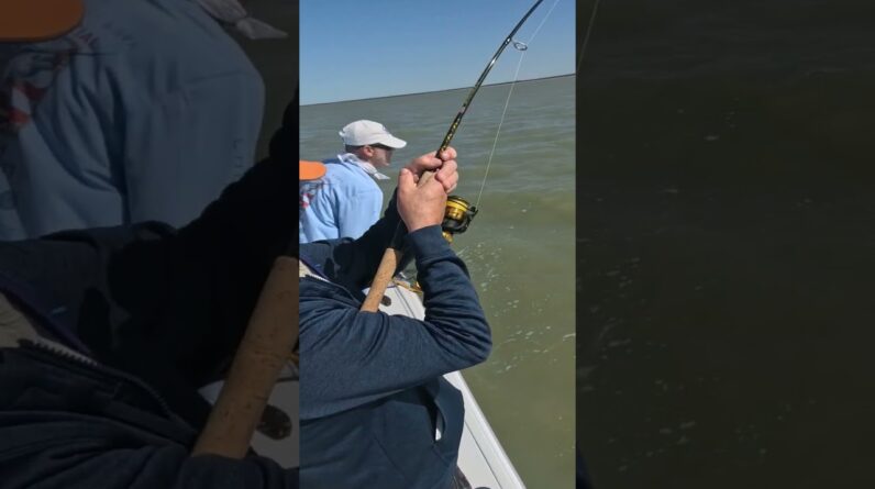 Ricky Walker vs. big snook!