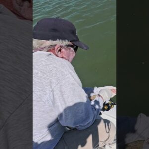snookzilla vs sr! #snook #fishing