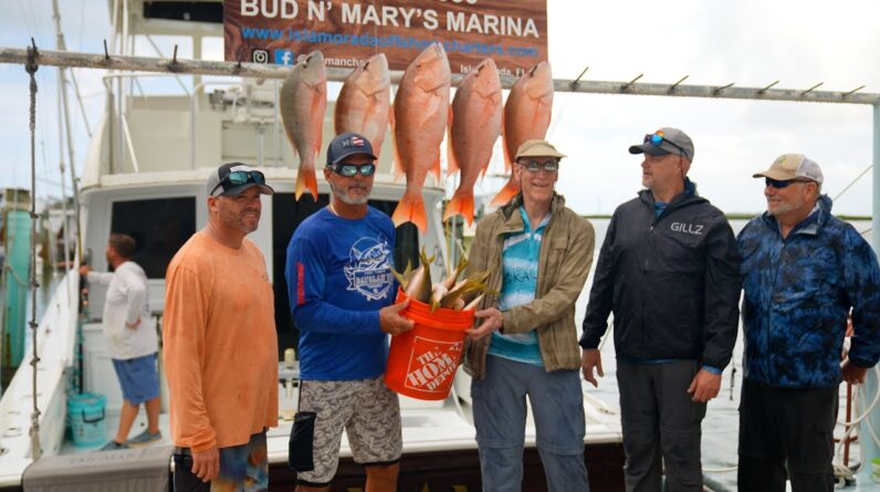 ANOTHER Blue Marlin and HUGE MUTTONS! | End of June Dock Walk