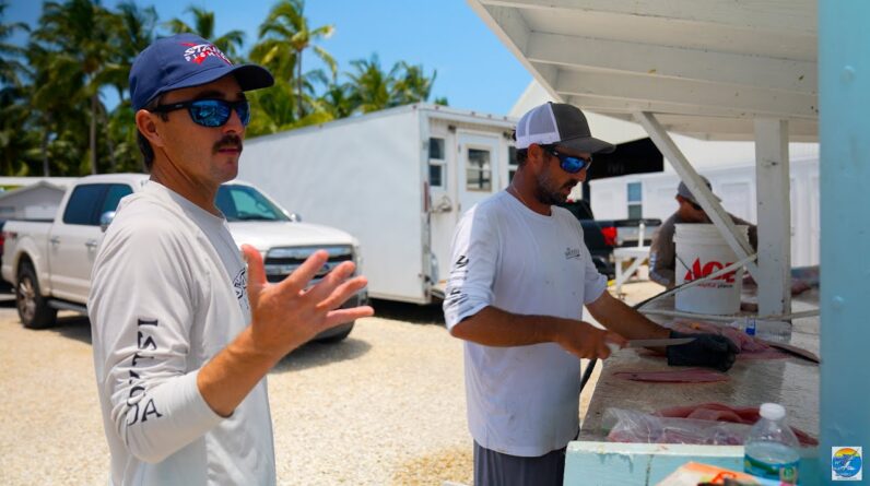 HUGE Mutton Snapper! Wahoo! Mahi! AND MORE!!! | End of June Dock Fishing Report