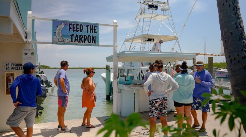 50 MAHI!!!! Huge Change In Fishing! - First Week Of July Dock Walk