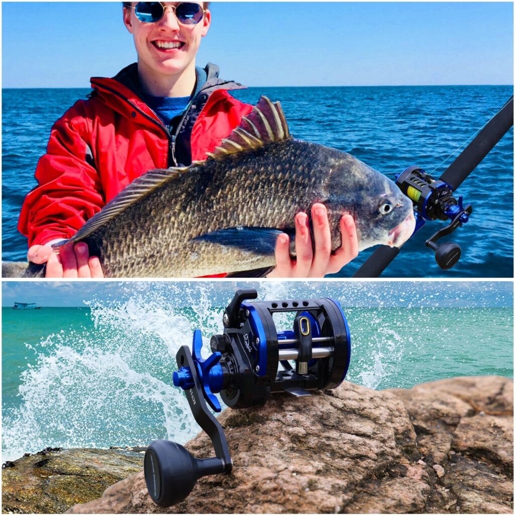 Burning Shark Baitcasting Fishing Reel, Smooth Powerful Round Baitcaster Reel, Saltwater Inshore Surf Trolling Reel, Conventional Reel for Catfish, Musky, Bass, Pike