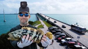 My First Goliath Grouper - Florida Keys Bridge Fishing