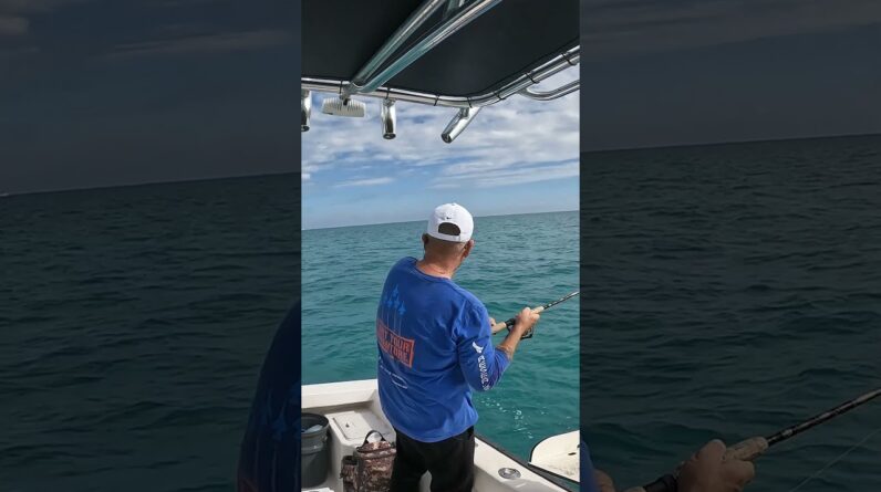 When Your Buddy Tries to Take Over Your Spot #bloopers #fishing #keylargo #patchreefs