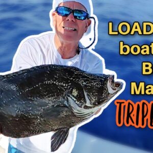 Solo Mahi Mayhem + Tripletail Jackpot! (How to Rig Ballyhoo & Troll Like a Pro)