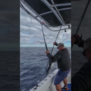 New wahoo fishing blog is live on my website. #crappiemagnet