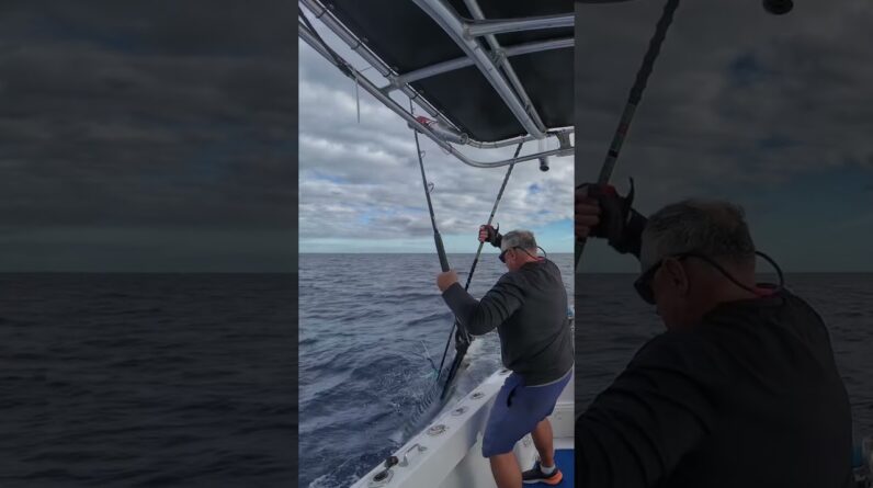 New wahoo fishing blog is live on my website. #crappiemagnet