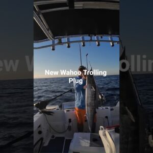 New wahoo trolling plug course launches today.