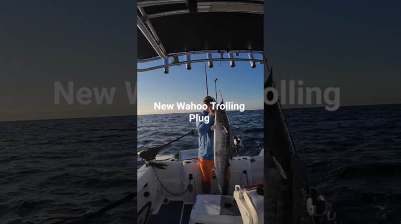 New wahoo trolling plug course launches today.