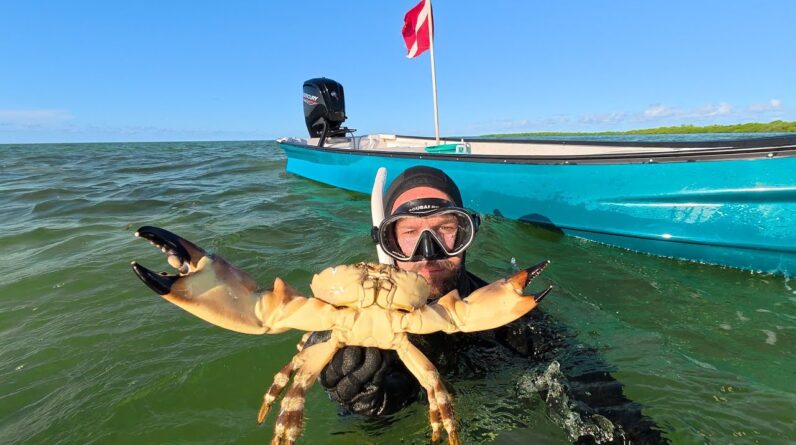 Stone Crab Opener - Crab Got My Finger - CCC