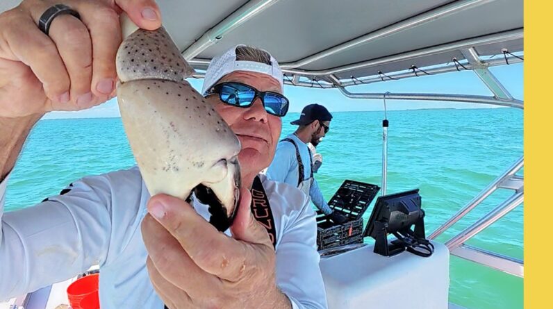 Stone Crab Season OPENS! Commercial Crabbing with Capt. Louis Cave