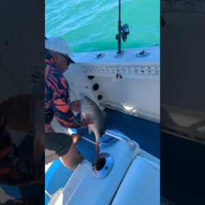 Teaching guys that they can catch fish 15 minutes from the dock.