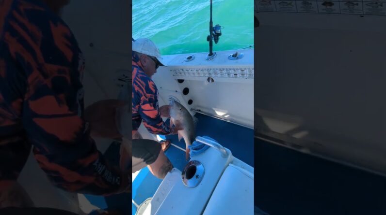 Teaching guys that they can catch fish 15 minutes from the dock.