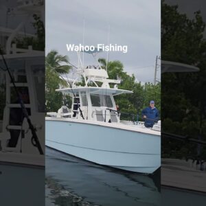 The Invincible 37 Cat she loves to eat Florida Keys wahoo.