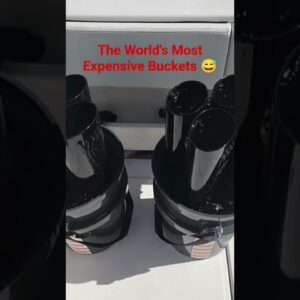 These are expensive buckets 😅 but they really work and they easily keep bullet size bonitos alive.