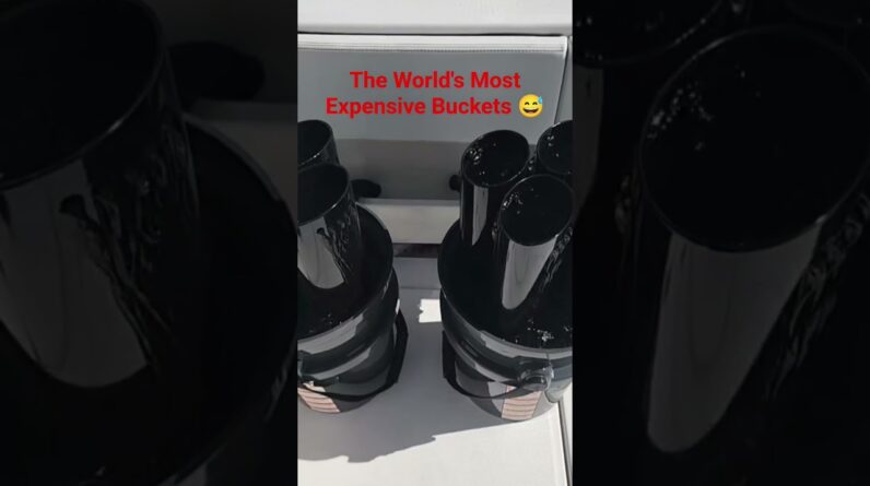 These are expensive buckets 😅 but they really work and they easily keep bullet size bonitos alive.