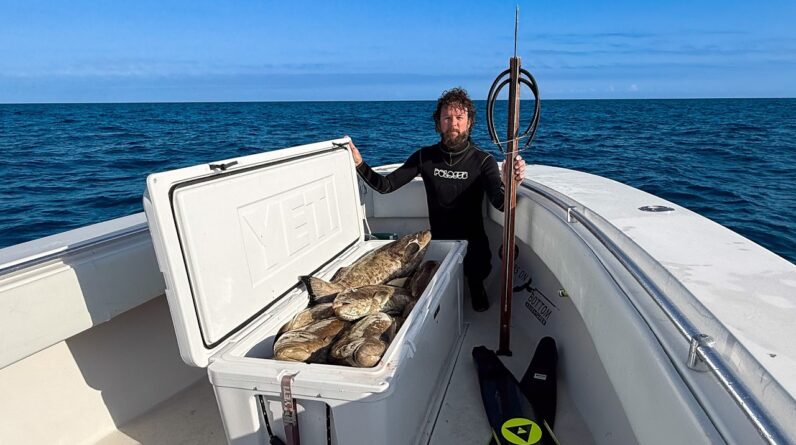 Last Call: Grouper Season Closer | Commercial Freediving