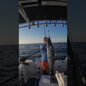 Buy a 12 ft bamboo gaff from seasworx. Stand outside the transom with 6 to 8 ft gaff u prop bait.