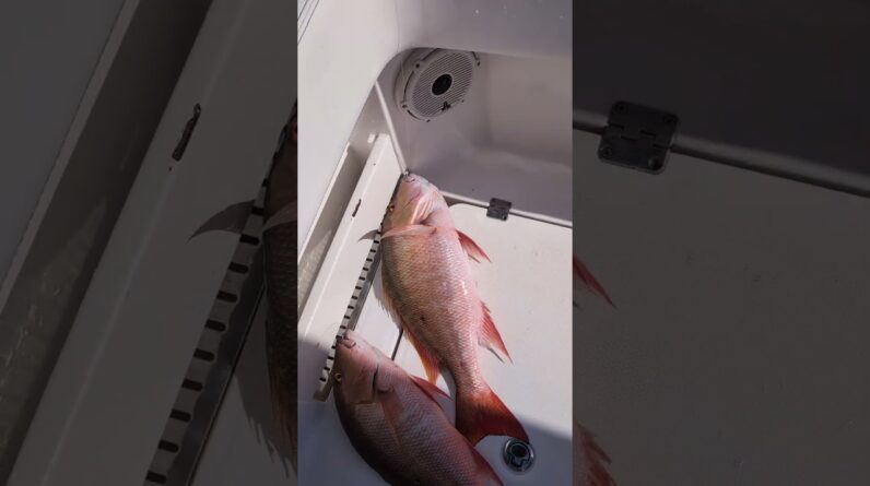 The December full moon provided good fish.