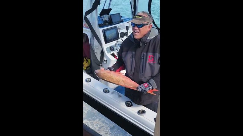 UNLOADING MUTTON SNAPPERS! | The Secret to Key Largo Bottom Fishing