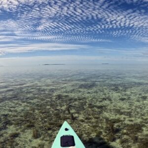 Florida Keys Backcountry after the Arctic Blast.