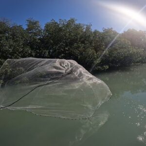 Find The Mullet, You Found The Fun.