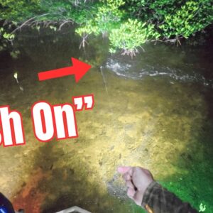 This fish tastes better than snapper! SOLO Jon Boat Fishing {Catch Clean Cook}