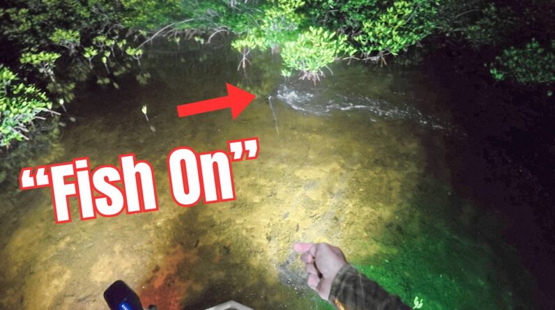 This fish tastes better than snapper! SOLO Jon Boat Fishing {Catch Clean Cook}