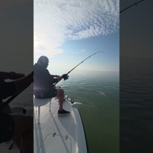 Nice tarpon on a slick calm February day in the Florida Keys! #tarpon #fishing #catchingfish