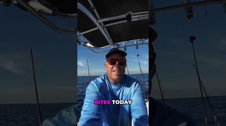 So many different ways to catch a wahoo all day.