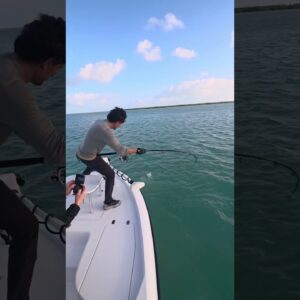 tarpon at the boat! #bnmu #bassfishing #tarpon