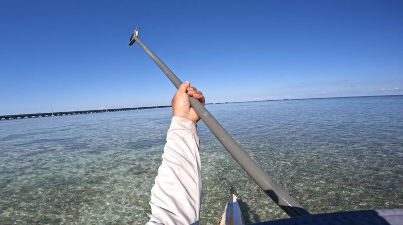 Testing Out A $20 SuperStick Extendable Push Pole.