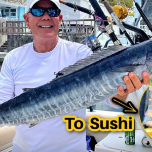 We Finally Found Wahoo… Sushi Party! Watch til the end.