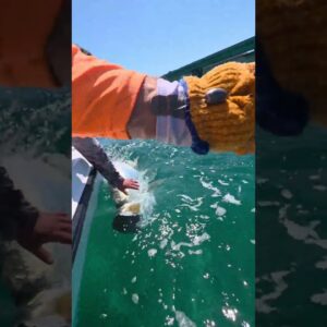 healthy release on a big girl