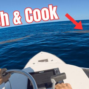 Mahi & Tuna Fishing on my boat *Catch Clean Cook*