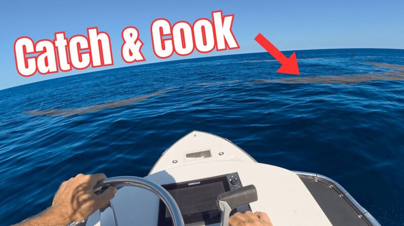 Mahi & Tuna Fishing on my boat *Catch Clean Cook*