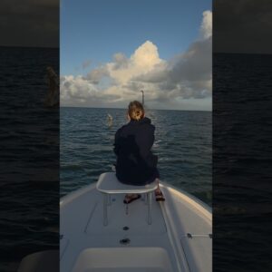 tarpon up! #bnmu #tarpon #fishing