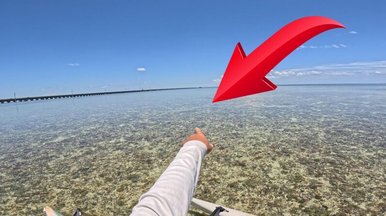 100 Bonefish and I can't catch one. Bonefish sight fishing practice video.