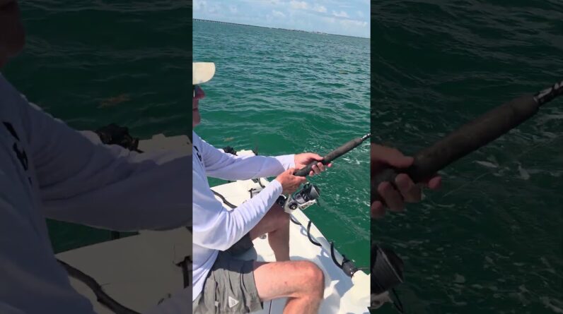 big tarpon for Jack #bnmu #fishing