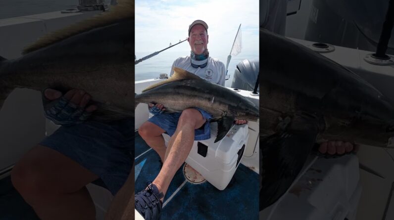 Cobia fishing in the Florida Keys.