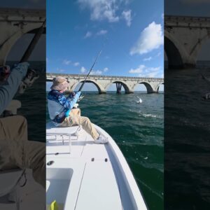 good size one! catch and release tarpon #bnmu #fishing